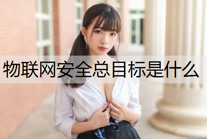 物联网安全总目标是什么