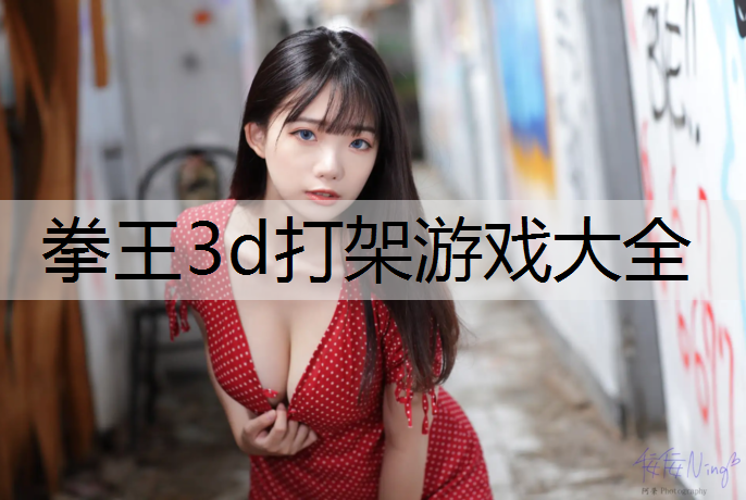 拳王3d打架游戏大全